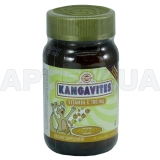 КАНГАВІТЕС З ВІТАМІНОМ С 500 мг ЗІ СМАКОМ АПЕЛЬСИНУ таблетки 100 мг флакон, №90